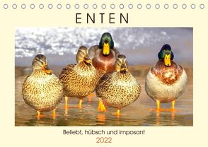 Enten. Beliebt, hübsch und imposant (Tischkalender 2022 DIN A5 quer) von Hurley,  Rose