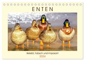 Enten. Beliebt, hübsch und imposant (Tischkalender 2024 DIN A5 quer), CALVENDO Monatskalender von Hurley,  Rose