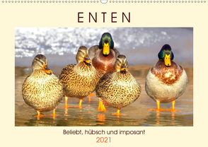 Enten. Beliebt, hübsch und imposant (Wandkalender 2021 DIN A2 quer) von Hurley,  Rose