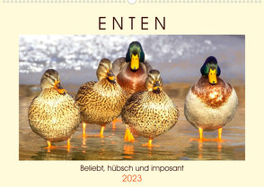 Enten. Beliebt, hübsch und imposant (Wandkalender 2023 DIN A2 quer) von Hurley,  Rose