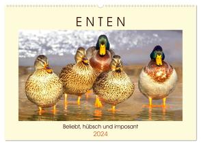 Enten. Beliebt, hübsch und imposant (Wandkalender 2024 DIN A2 quer), CALVENDO Monatskalender von Hurley,  Rose