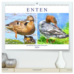 Enten. Bezaubernde und beliebte Schwimmer (hochwertiger Premium Wandkalender 2024 DIN A2 quer), Kunstdruck in Hochglanz von Hurley,  Rose