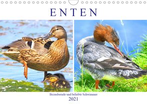 Enten. Bezaubernde und beliebte Schwimmer (Wandkalender 2021 DIN A4 quer) von Hurley,  Rose