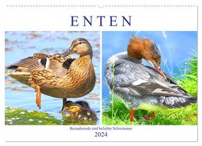 Enten. Bezaubernde und beliebte Schwimmer (Wandkalender 2024 DIN A2 quer), CALVENDO Monatskalender von Hurley,  Rose