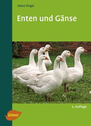 Enten und Gänse von Pingel,  Heinz