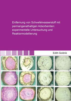 Entfernung von Schwefelwasserstoff mit permanganathaltigen Adsorbentien: experimentelle Untersuchung und Reaktormodellierung von Goldnik,  Edith