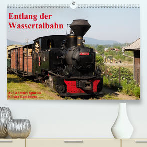 Entlang der Wassertalbahn – Auf schmaler Spur im Norden Rumäniens (Premium, hochwertiger DIN A2 Wandkalender 2021, Kunstdruck in Hochglanz) von Hegerfeld-Reckert,  Anneli