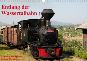 Entlang der Wassertalbahn – Auf schmaler Spur im Norden Rumäniens (Wandkalender 2021 DIN A3 quer) von Hegerfeld-Reckert,  Anneli