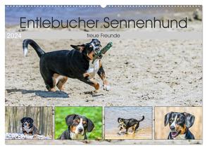 Entlebucher Sennenhund – treue Freunde (Wandkalender 2024 DIN A2 quer), CALVENDO Monatskalender von SchnelleWelten,  SchnelleWelten