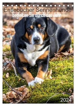 Entlebucher Sennenhunde begleiten Sie durch das Jahr (Tischkalender 2024 DIN A5 hoch), CALVENDO Monatskalender von SchnelleWelten,  SchnelleWelten