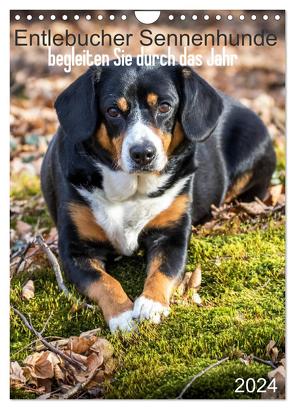 Entlebucher Sennenhunde begleiten Sie durch das Jahr (Wandkalender 2024 DIN A4 hoch), CALVENDO Monatskalender von SchnelleWelten,  SchnelleWelten