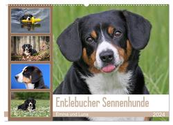 Entlebucher Sennenhunde Emma und Luna (Wandkalender 2024 DIN A2 quer), CALVENDO Monatskalender von SchnelleWelten,  SchnelleWelten