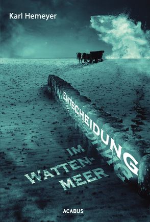 Entscheidung im Wattenmeer von Hemeyer,  Karl