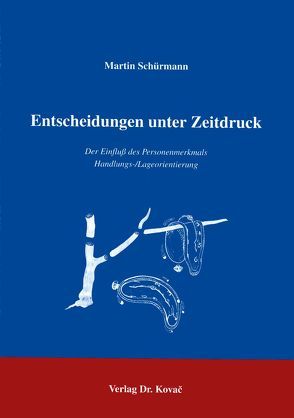 Entscheidungen unter Zeitdruck von Schürmann,  Martin