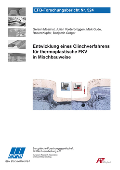 Entwicklung eines Clinchverfahrens für thermoplastische FKV in Mischbauweise von Gröger,  Benjamin, Gude,  Maik, Kupfer,  Robert, Meschut,  Gerson, Vorderbrüggen,  Julian