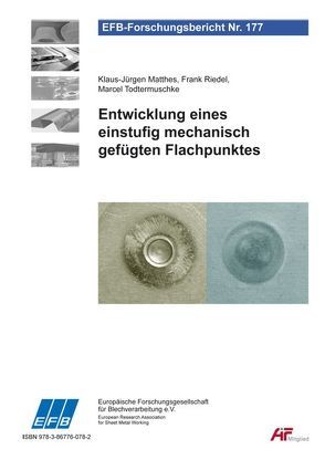 Entwicklung eines einstufig mechanisch gefügten Flachpunktes von Matthes,  Klaus-Jürgen, Riedel,  Frank, Todtermuschke,  Marcel