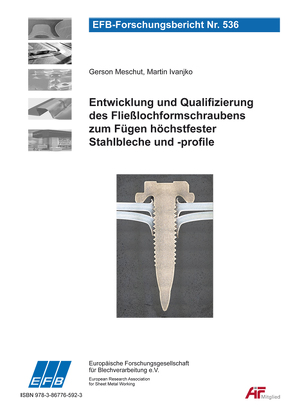 Entwicklung und Qualifizierung des Fließlochformschraubens zum Fügen höchstfester Stahlbleche und -profile von Ivanjko,  Martin, Meschut,  Gerson