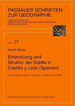 Entwicklung und Struktur der Städte in Castilla y León (Spanien) von Eitel,  Bernhard, Meyer,  Kerstin, Rother,  Klaus, Struck,  Ernst, Vogl,  Erwin