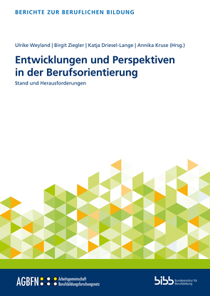 Entwicklungen und Perspektiven in der Berufsorientierung von Driesel-Lange,  Katja, Kruse,  Annika, Weyland,  Ulrike, Ziegler,  Birgit