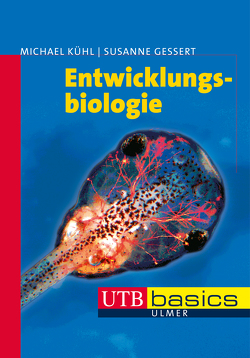 Entwicklungsbiologie von Gessert,  Susanne, Kühl,  Michael