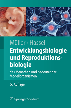 Entwicklungsbiologie und Reproduktionsbiologie des Menschen und bedeutender Modellorganismen von Hassel,  Monika, Müller,  Werner A.