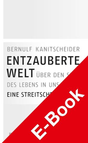 Entzauberte Welt von Kanitscheider,  Bernulf