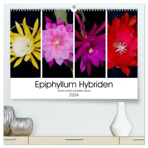 Epiphyllum-Hybriden (hochwertiger Premium Wandkalender 2024 DIN A2 quer), Kunstdruck in Hochglanz von Gierok,  Steffen Latniak,  Steffen