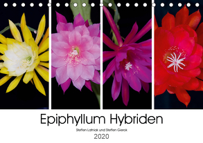 Epiphyllum-Hybriden (Tischkalender 2020 DIN A5 quer) von Gierok,  Steffen, Latniak,  Steffen