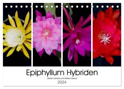 Epiphyllum-Hybriden (Tischkalender 2024 DIN A5 quer), CALVENDO Monatskalender von Gierok,  Steffen Latniak,  Steffen