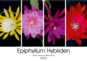 Epiphyllum-Hybriden (Wandkalender 2020 DIN A2 quer) von Gierok,  Steffen, Latniak,  Steffen