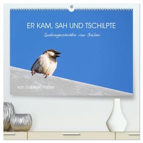 Er kam, sah und tschilpte – Spatzengeschichten vom Balkon (hochwertiger Premium Wandkalender 2024 DIN A2 quer), Kunstdruck in Hochglanz von Hanke,  Gabriele