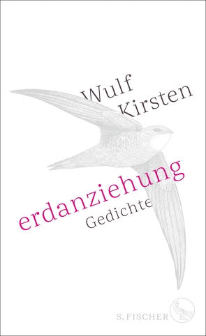 Erdanziehung von Kirsten,  Wulf