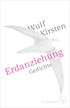 Erdanziehung von Kirsten,  Wulf