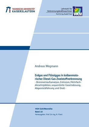 Erdgas und Flüssiggas in kolbenmotorischer Diesel-Gas-Zweistoffverbrennung von Wegmann,  Andreas