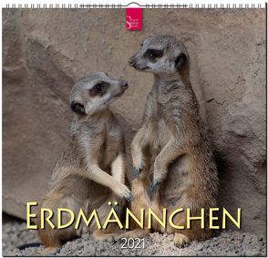 Erdmännchen