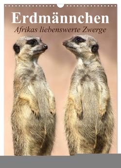 Erdmännchen – Afrikas liebenswerte Zwerge (Wandkalender 2024 DIN A3 hoch), CALVENDO Monatskalender von Stanzer,  Elisabeth