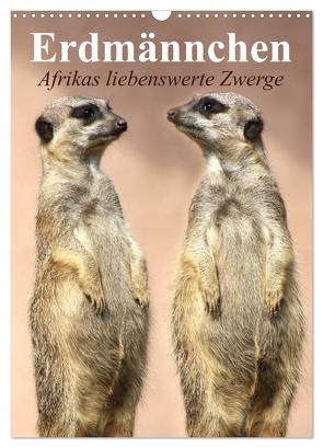 Erdmännchen – Afrikas liebenswerte Zwerge (Wandkalender 2024 DIN A3 hoch), CALVENDO Monatskalender von Stanzer,  Elisabeth