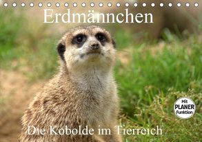 Erdmännchen – Die Kobolde im Tierreich (Tischkalender 2019 DIN A5 quer) von Klatt,  Arno