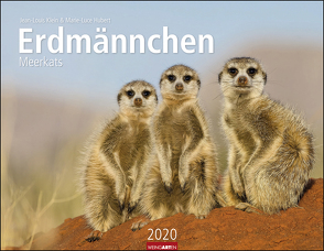 Erdmännchen Kalender 2020 von Weingarten