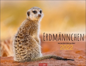 Erdmännchen Kalender 2022 von Weingarten