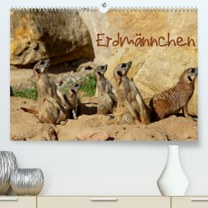 Erdmännchen (Premium, hochwertiger DIN A2 Wandkalender 2022, Kunstdruck in Hochglanz) von Hultsch,  Heike