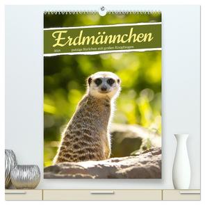 Erdmännchen, putzige Kerlchen mit großen Knopfaugen (hochwertiger Premium Wandkalender 2024 DIN A2 hoch), Kunstdruck in Hochglanz von Löwer,  Sabine