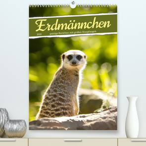 Erdmännchen, putzige Kerlchen mit großen Knopfaugen (Premium, hochwertiger DIN A2 Wandkalender 2023, Kunstdruck in Hochglanz) von Löwer,  Sabine