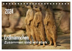 Erdmännchen – Zusammen sind wir stark (Tischkalender 2024 DIN A5 quer), CALVENDO Monatskalender von Hebgen,  Peter