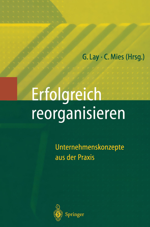 Erfolgreich Reorganisieren von Lay,  Gunter, Mies,  Claudia