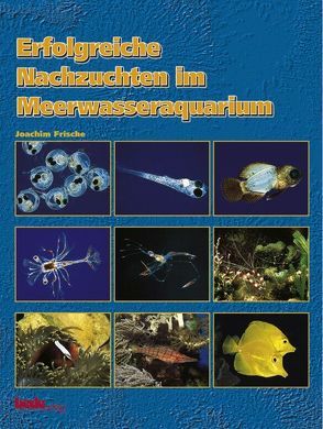 Erfolgreiche Nachzuchten im Meerwasseraquarium von Frische,  Joachim