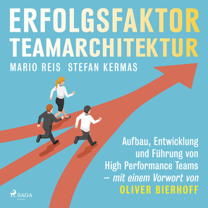 Erfolgsfaktor Teamarchitektur von Ferner,  Frank, Kermas,  Stefan, Reis,  Mario