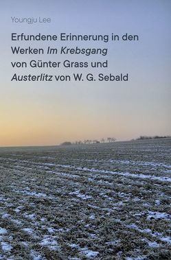 Erfundene Erinnerung in den Werken ,Im Krebsgang‘ von Günter Grass und ,Austerlitz‘ von W. G. Sebald von Lee,  Youngju