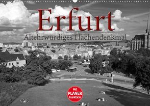 Erfurt – altehrwürdiges Flächendenkmal (Wandkalender 2020 DIN A2 quer) von Flori0