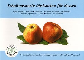 Erhaltenswerte Obstsorten für Hessen – Äpfel, Birnen, Kirschen, Pflaumen, Zwetschen, Mirabellen, Renekloden, Aprikosen, Pfirsiche, Quitten, Schalen- und Wildobst von Kahl,  Steffen, Scheibel,  Robert